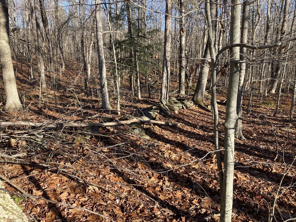 0 West Hill Road Middlefield, MA 01243 - Photo 3 of 17 a view of a large building