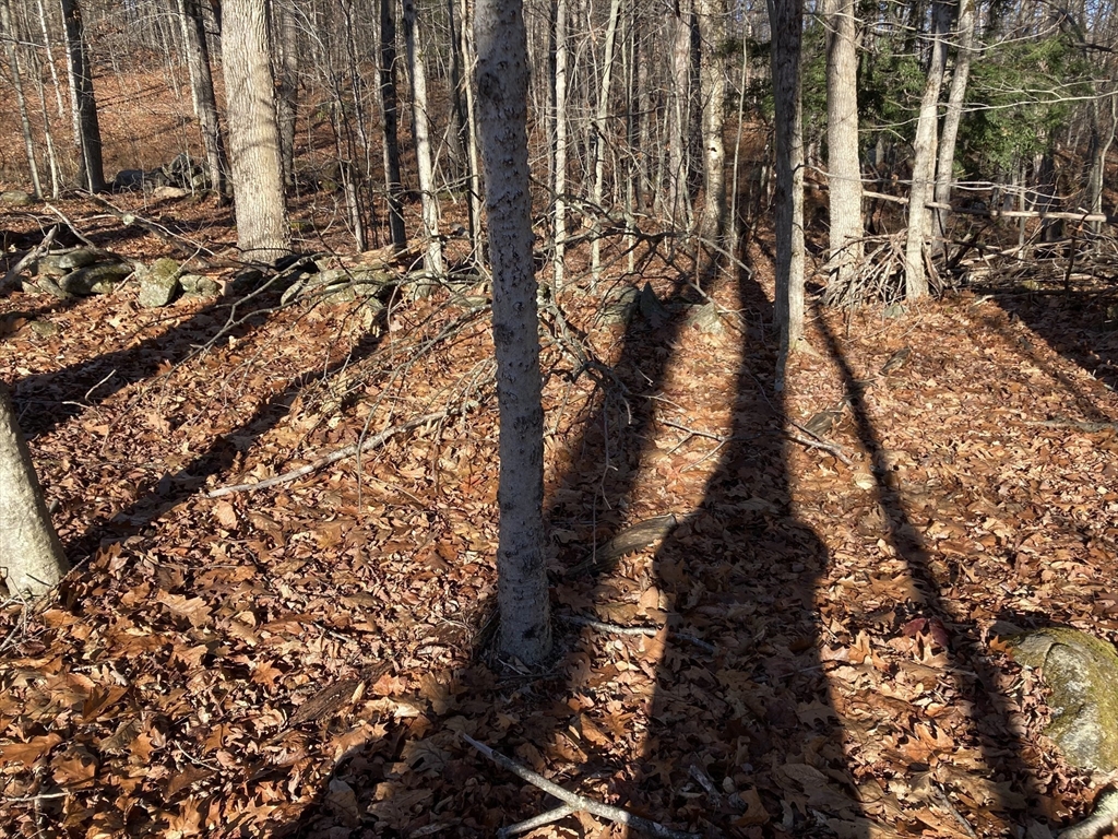 0 West Hill Road Middlefield, MA 01243 - Photo 5 of 17