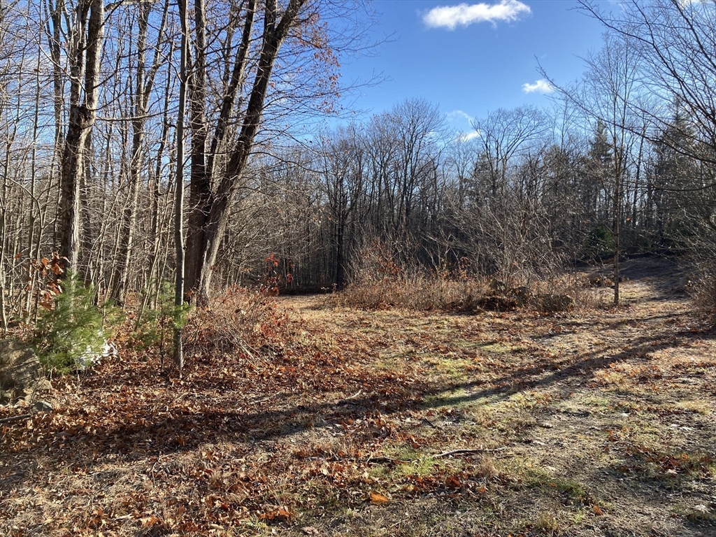 0 West Hill Road Middlefield, MA 01243 - Photo 6 of 17 a view of a yard with trees