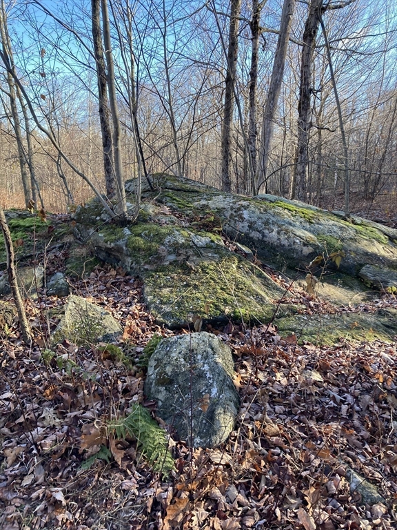 0 West Hill Road Middlefield, MA 01243 - Photo 7 of 17 a view of a yard with plants and trees