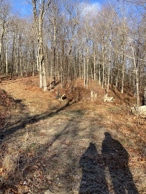 0 West Hill Road Middlefield, MA 01243 - Photo 8 of 17 a view of yard covered with snow
