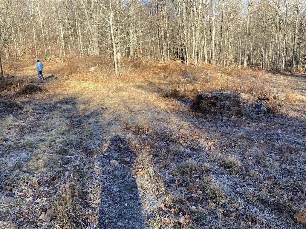 0 West Hill Road Middlefield, MA 01243 - Photo 10 of 17 a backyard of a house with lots of green space