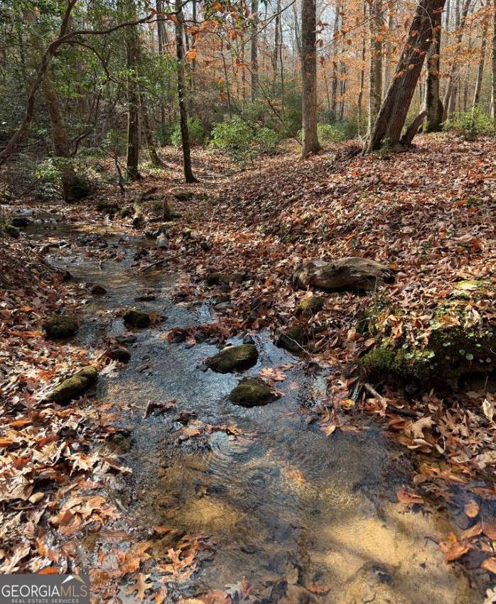 811 Magnums Trail Blue Ridge, GA 30513 - Photo 2 of 58