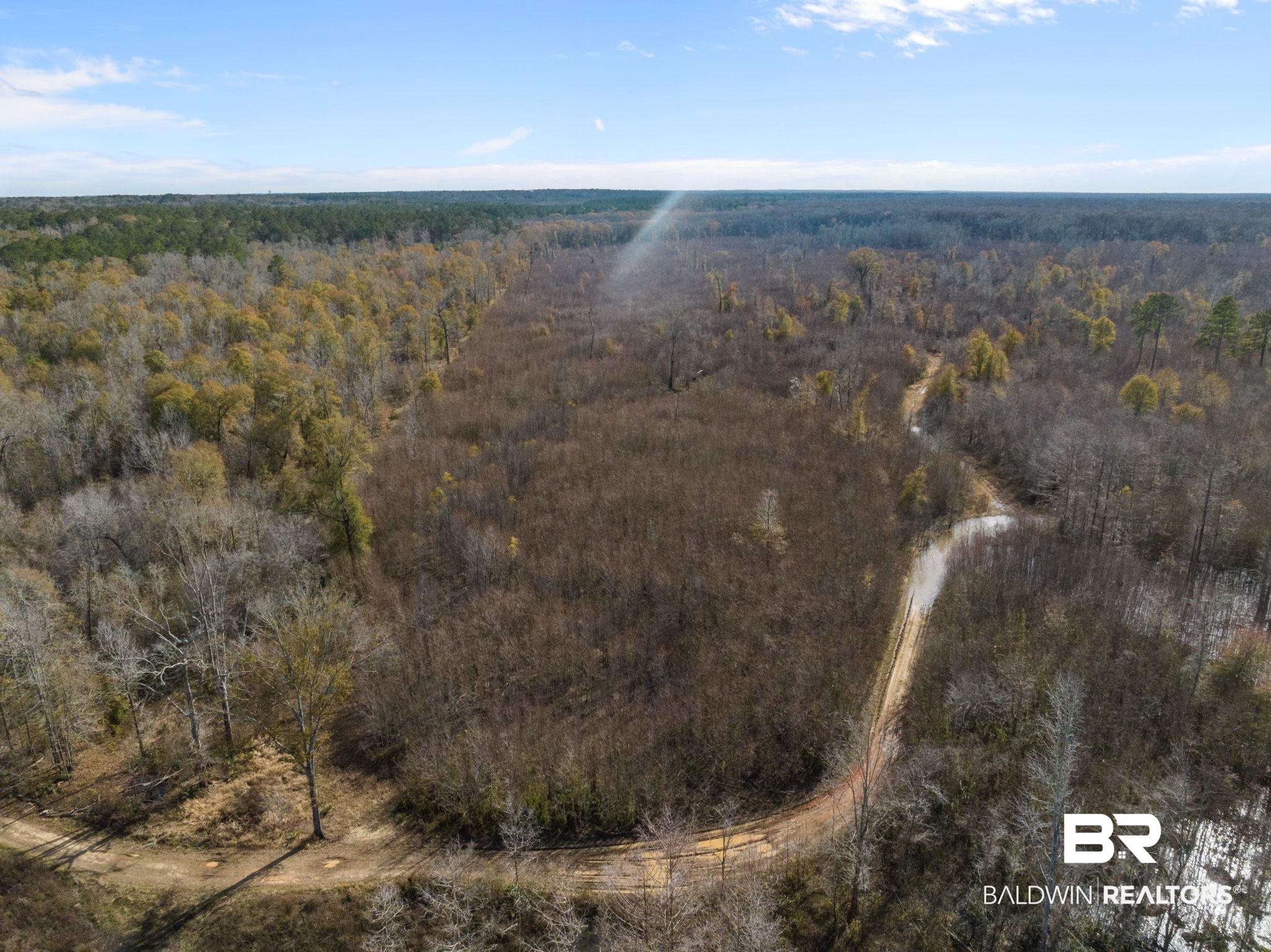 0 Bryant's Lndg Road Stockton, AL 36579 - Photo 9 of 29