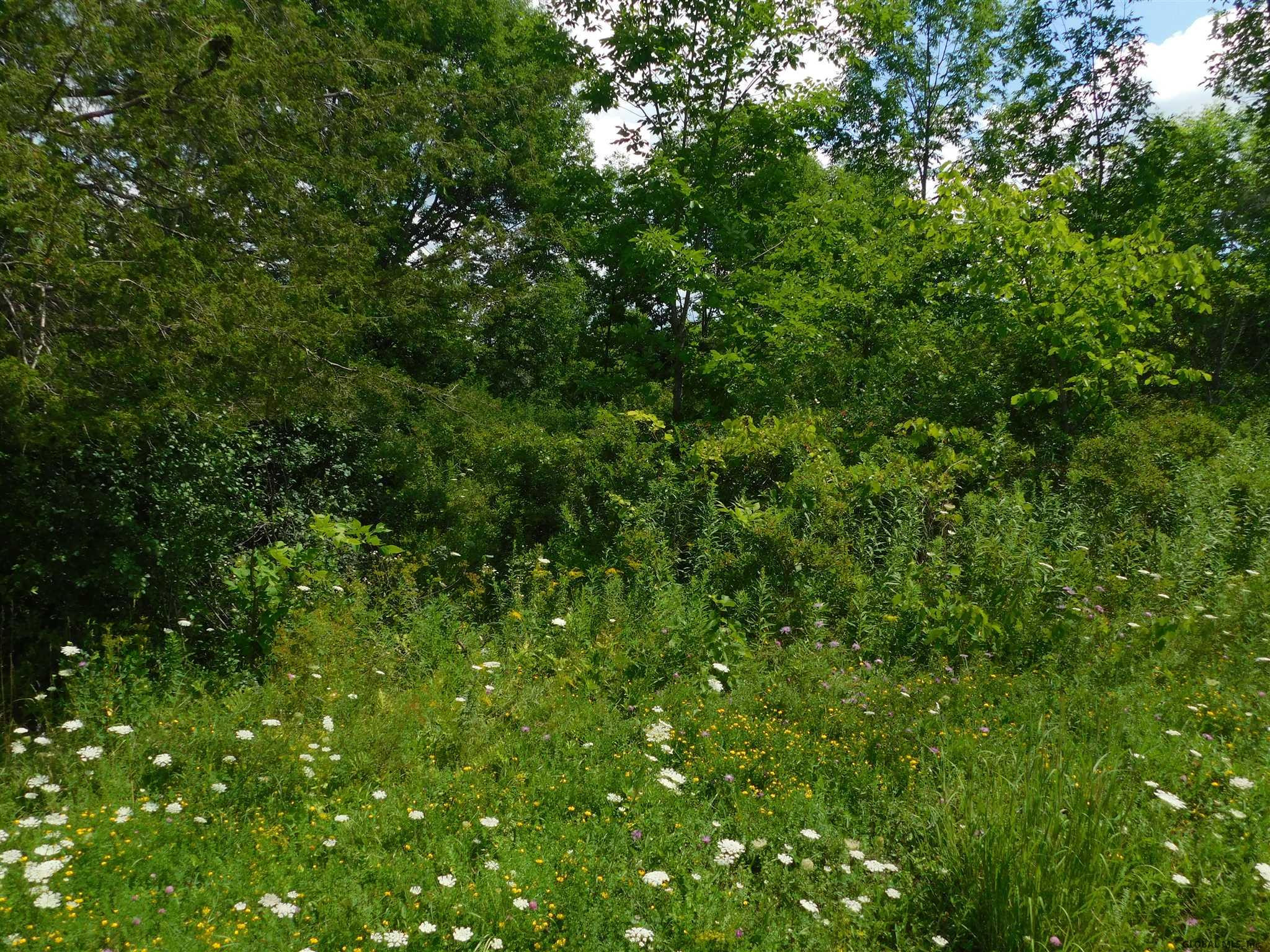 Eaton Corners Road Delanson, NY 12053 - Photo 1 of 4 Photo 1
