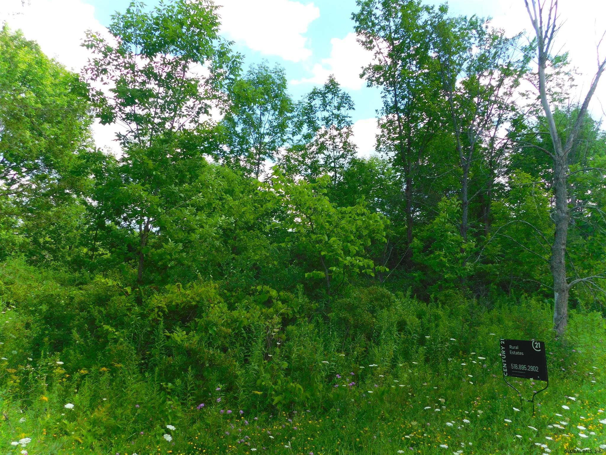 Eaton Corners Road Delanson, NY 12053 - Photo 2 of 4 Photo 2