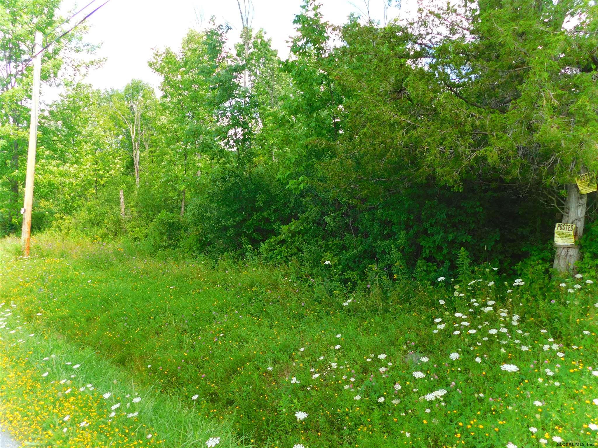 Eaton Corners Road Delanson, NY 12053 - Photo 3 of 4 Photo 3