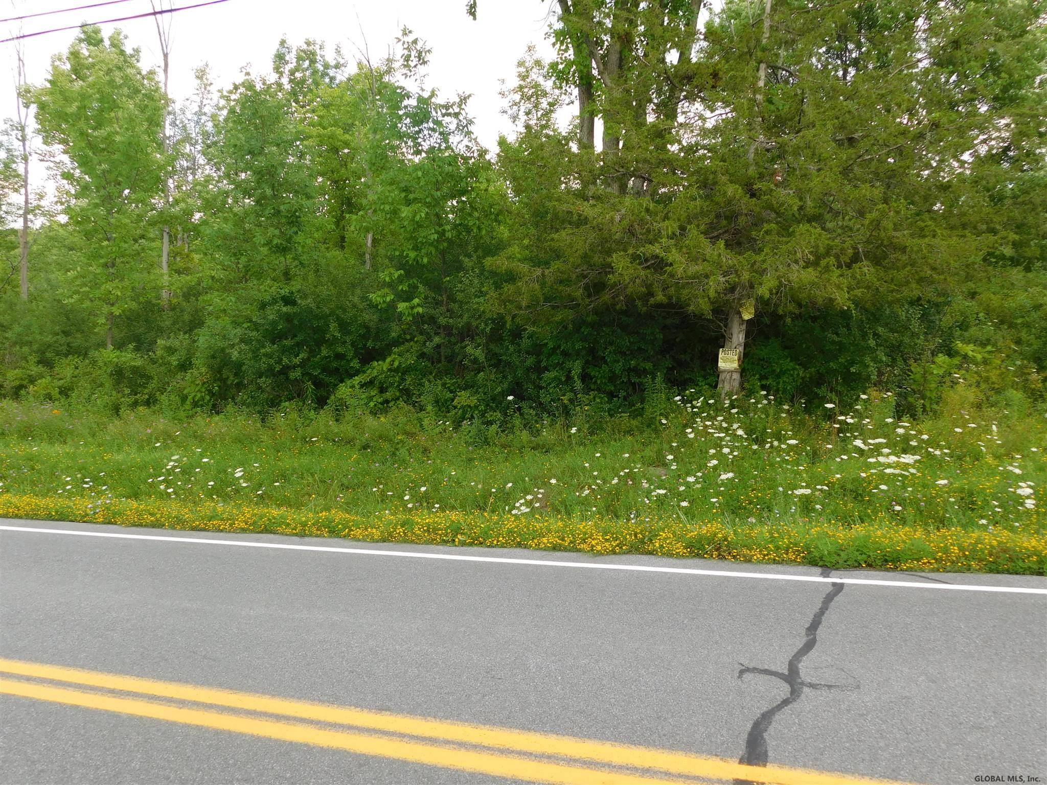 Eaton Corners Road Delanson, NY 12053 - Photo 4 of 4 Photo 4