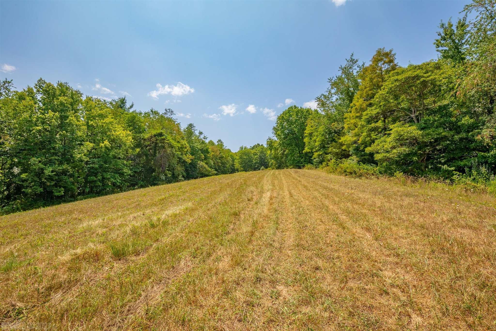 218 Byrnes Chapel Road Bland, VA 24315 - Photo 64 of 83 Gallery Image 64