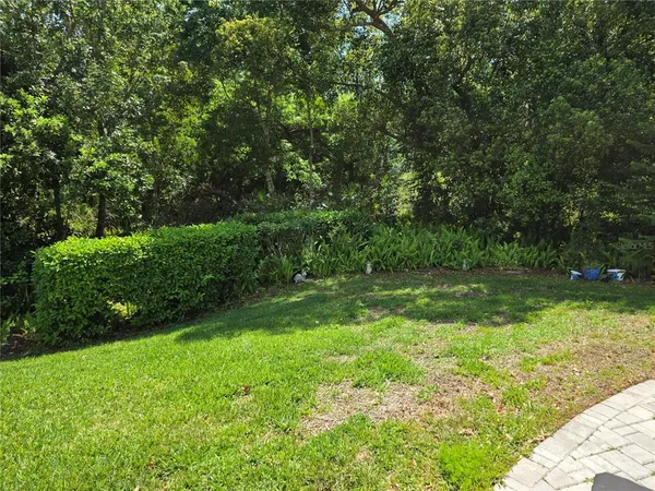 a view of backyard with garden