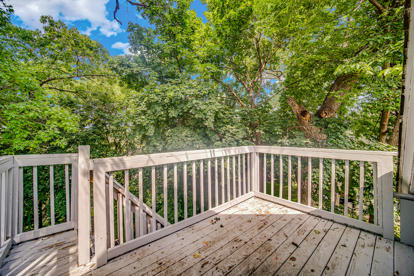 518 Raymond Street Elgin, IL 60120 - Photo 7 of 22