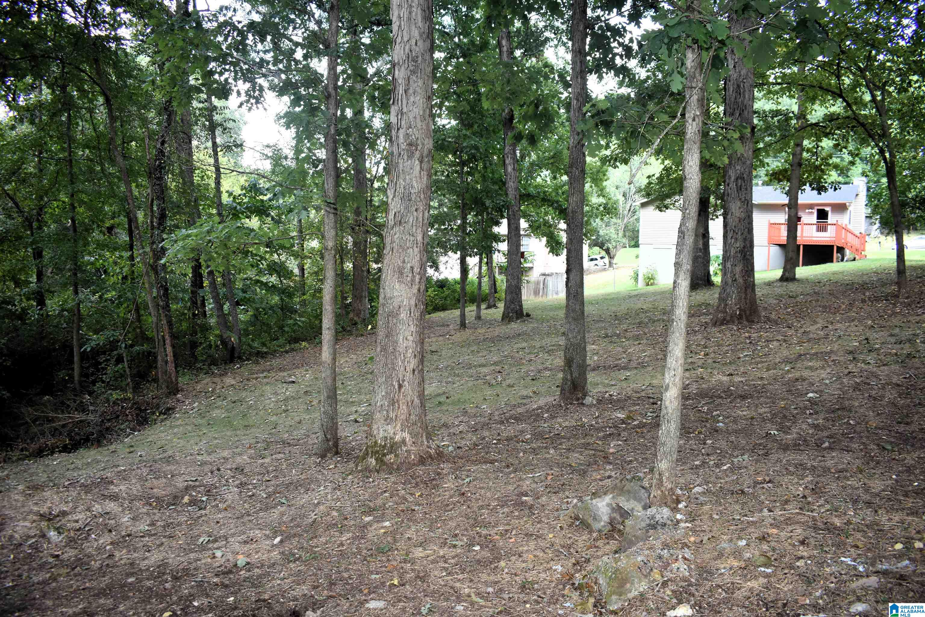 6418 Kimberly Loop Pinson, AL 35126 - Photo 12 of 17