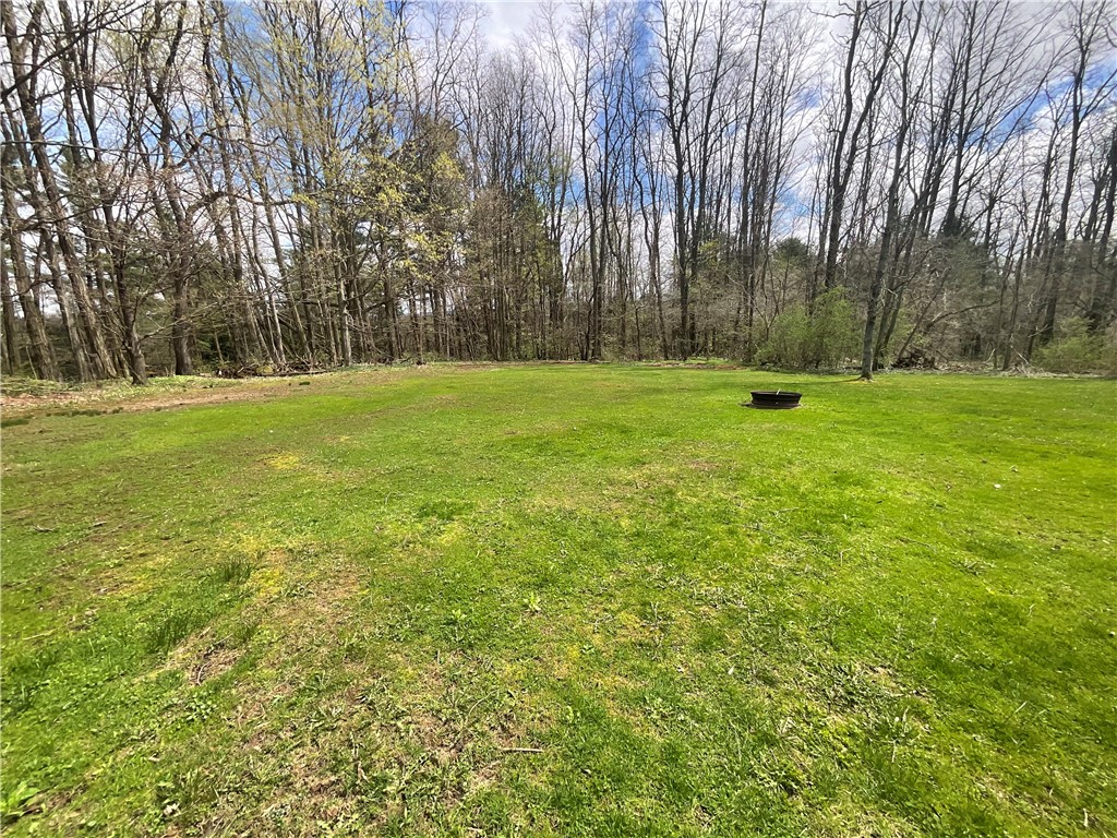 11586 Armison Road Hume, NY 14735 - Photo 28 of 31 Backyard