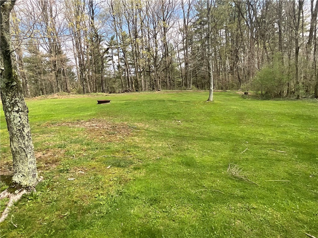 11586 Armison Road Hume, NY 14735 - Photo 29 of 31 Backyard