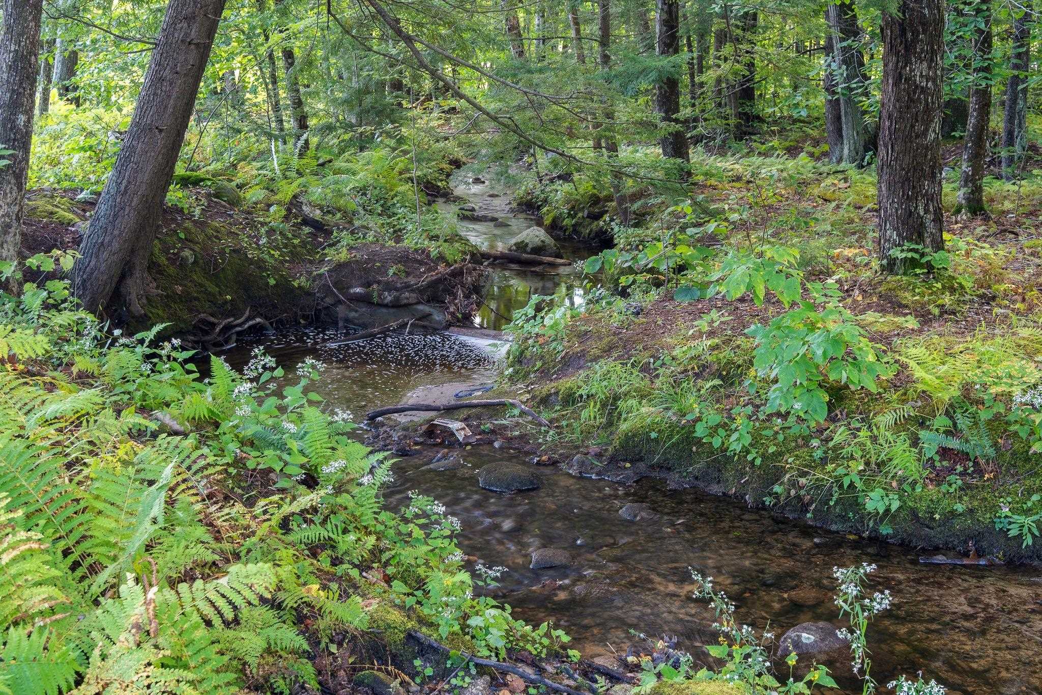 260 Highway 25 Meredith, NH 03253 - Photo 19 of 40