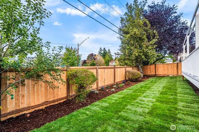 a view of a backyard with a tree