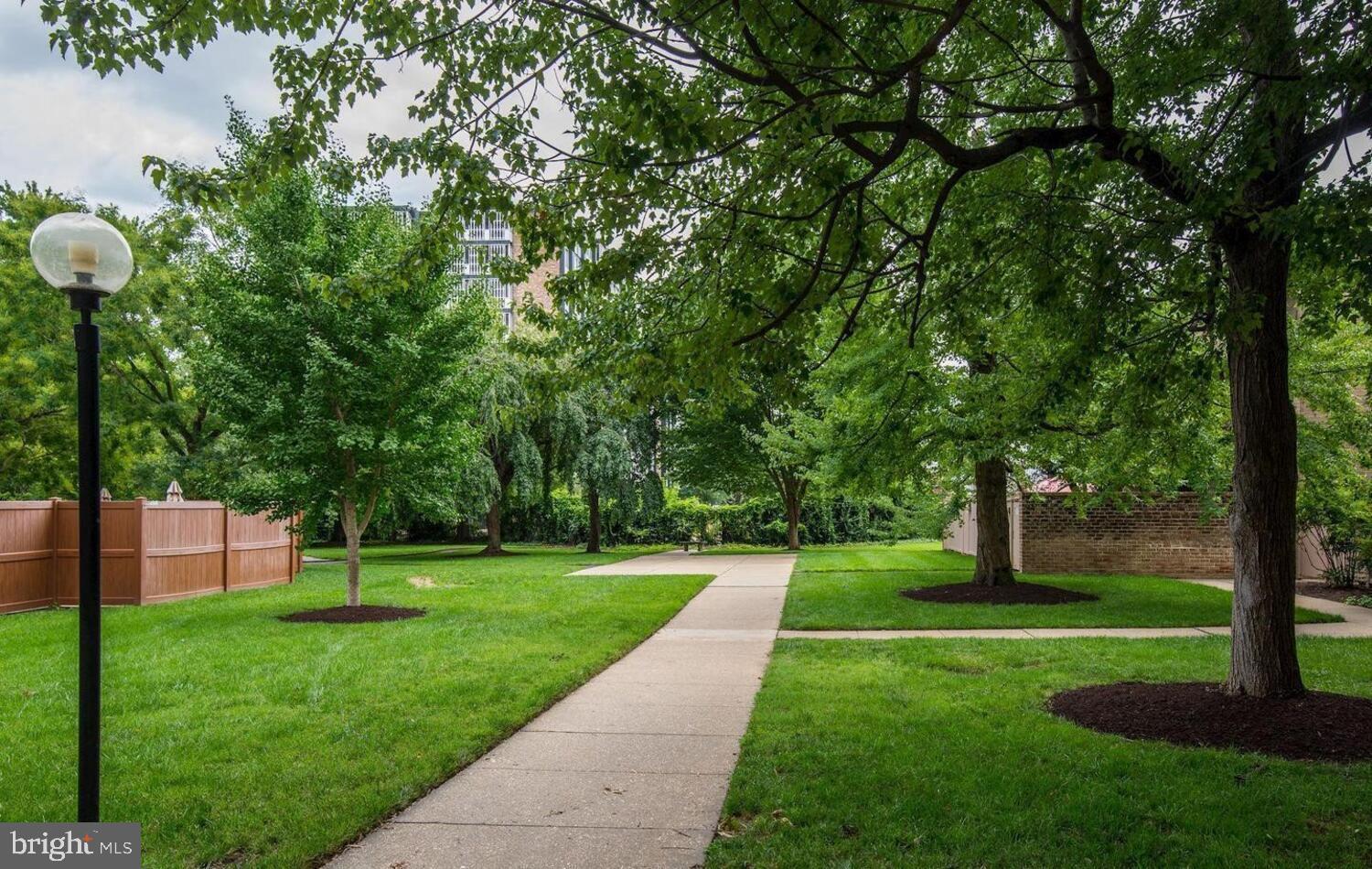 240 M Street Southwest, Unit E406 Washington, DC 20024 - Photo 22 of 38 a view of a park with large trees