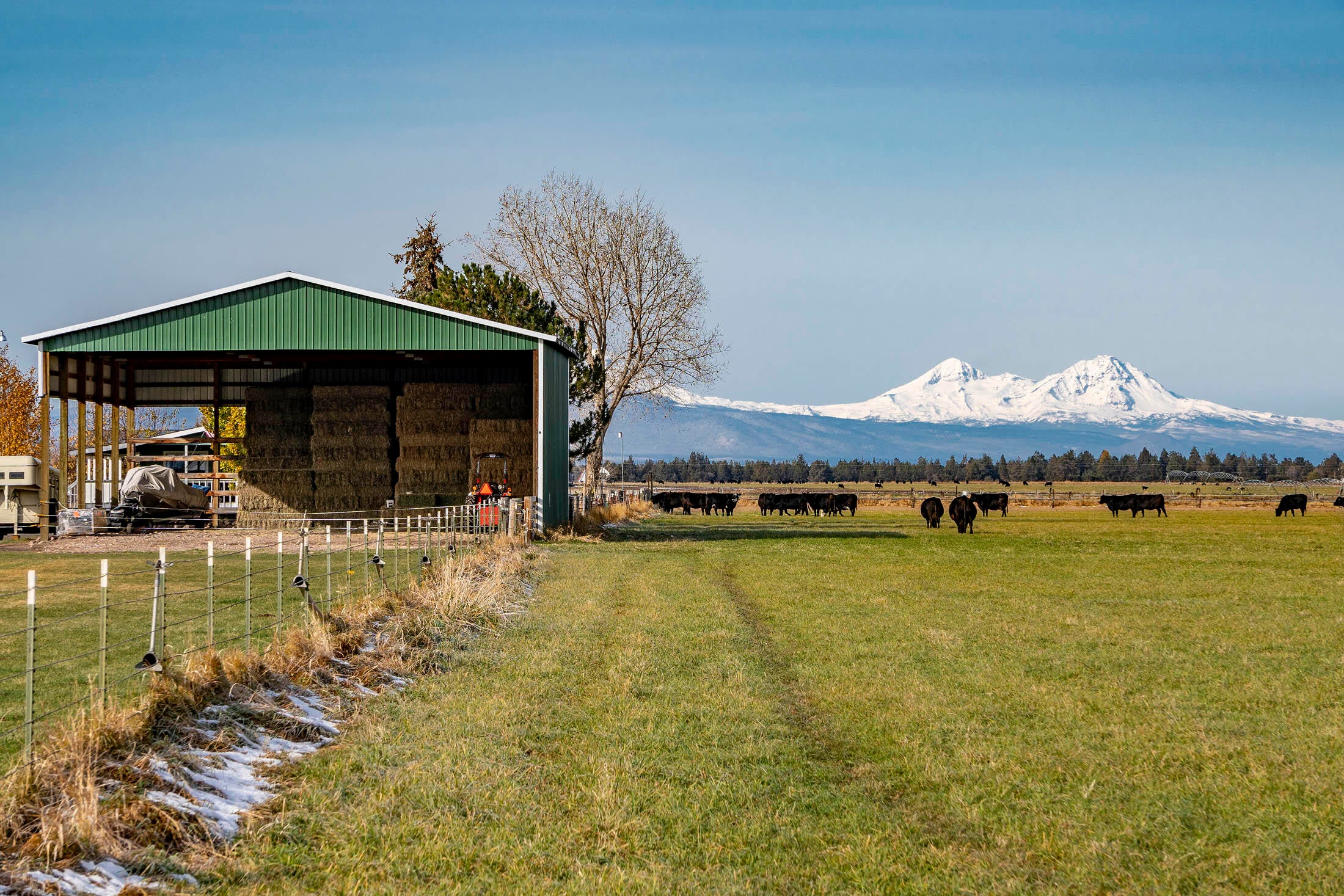 63025 Schmidt Road Bend, OR 97701 - Photo 40 of 65 63025 Schmidt Rd i_0276 copy