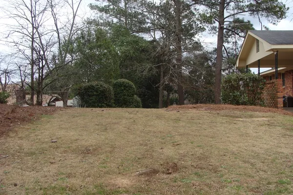 a view of outdoor space yard and tree