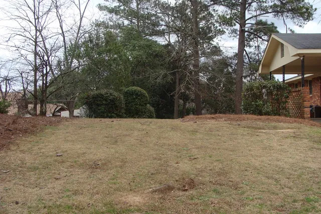 a view of outdoor space yard and tree