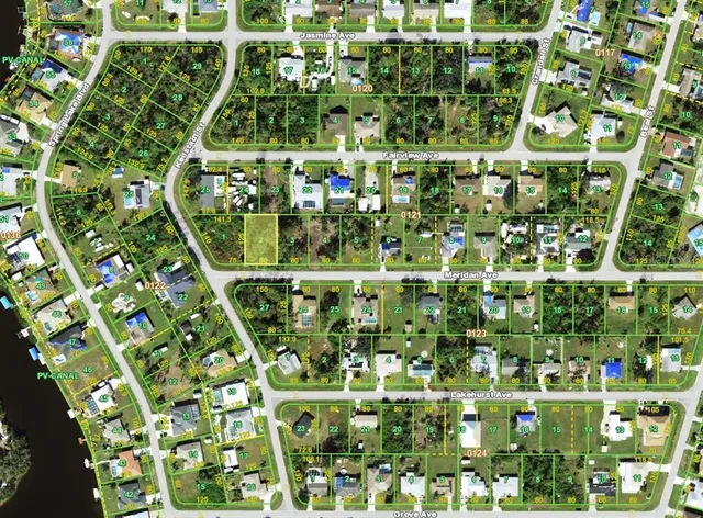 a view of a bunch of plants