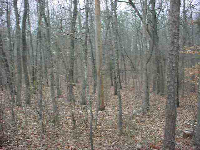 Lot #2 Pierce Brown Road Hartwell, GA 30643 - Photo 3 of 3 Gallery Image 3
