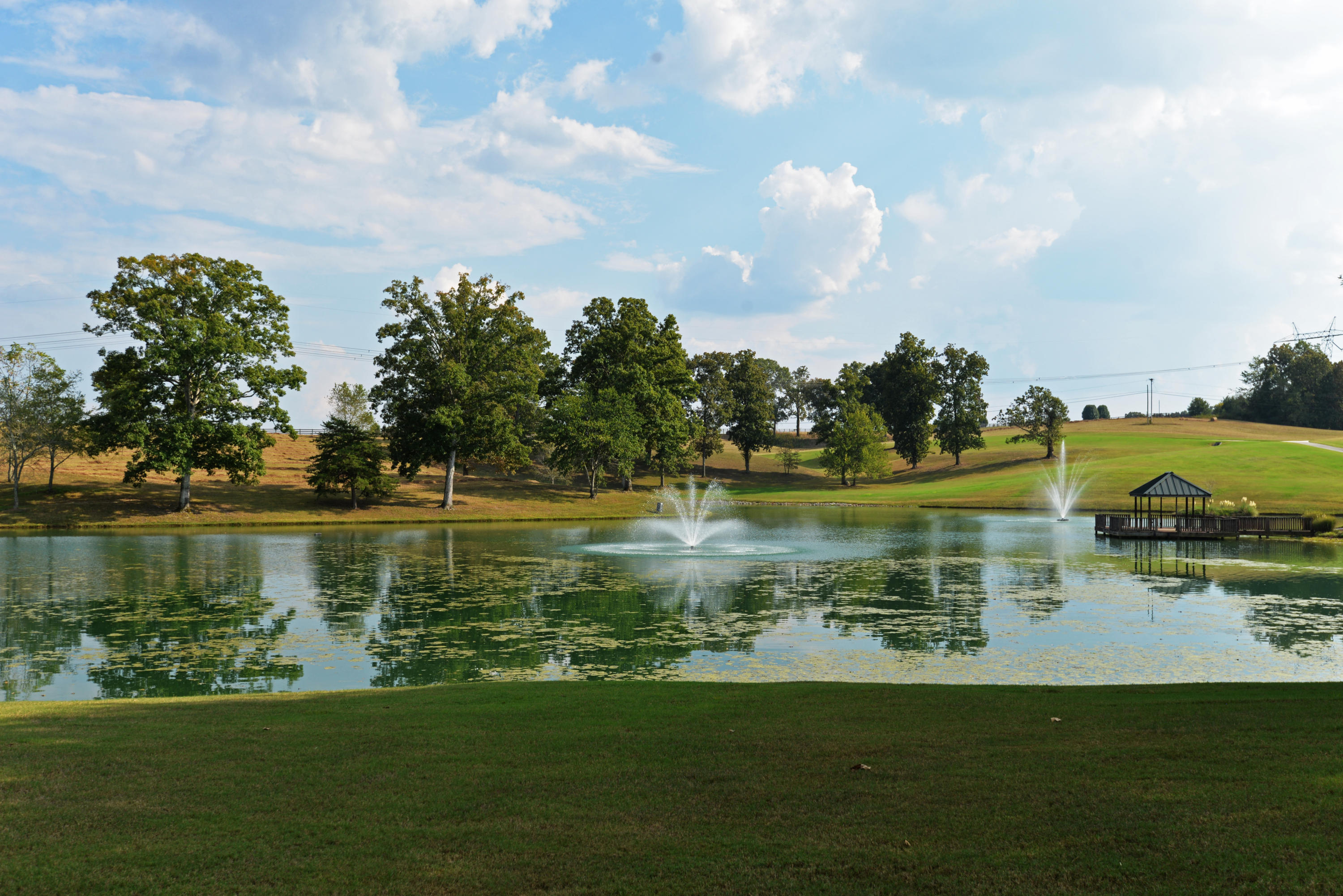 7105 B B K Ranch Road Georgetown, TN 37336 - Photo 98 of 123 Lake with fountains from side (summer)