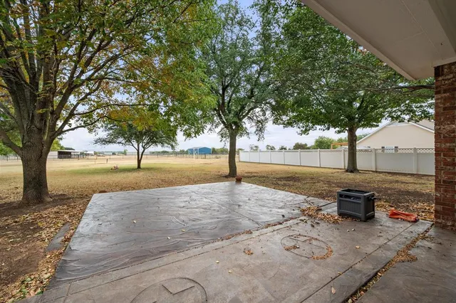 a view of a yard with trees