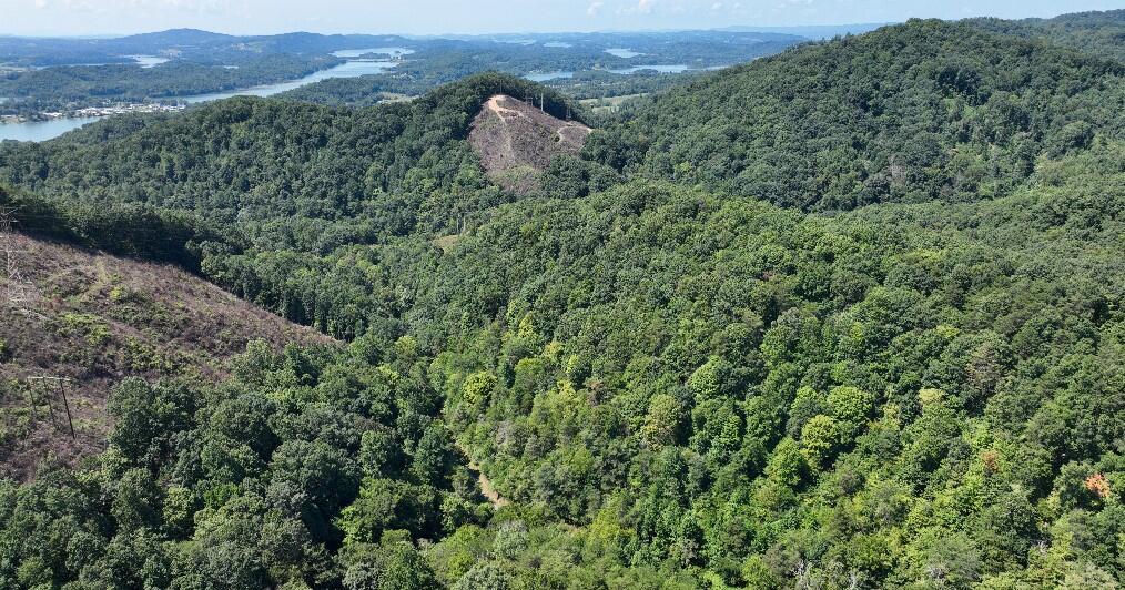 0 Short Road Mooresburg, TN 37811 - Photo 18 of 27 17