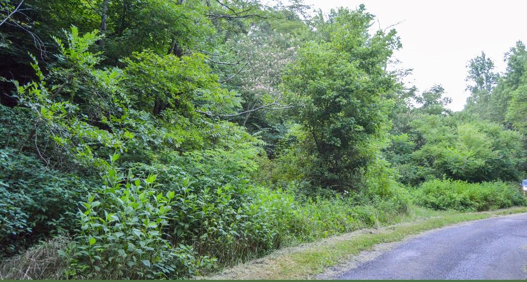 0 Short Road Mooresburg, TN 37811 - Photo 10 of 27 09