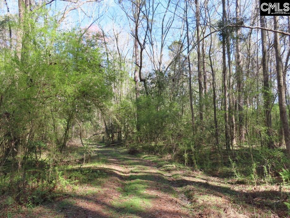 1672 Dixired Road Leesville, SC 29070 - Photo 38 of 67