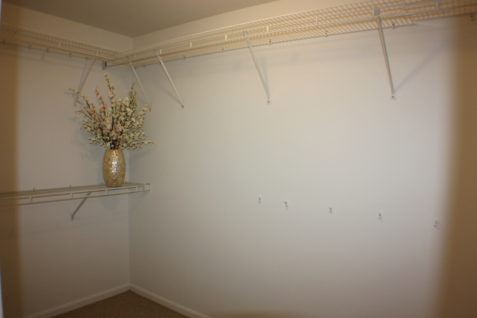 1195 Cobblers Crossing Elgin, IL 60120 - Photo 16 of 24
