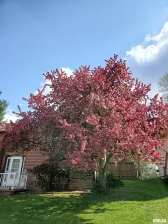 $193,000 | 1707 Riverview Drive, Macomb, IL 61455