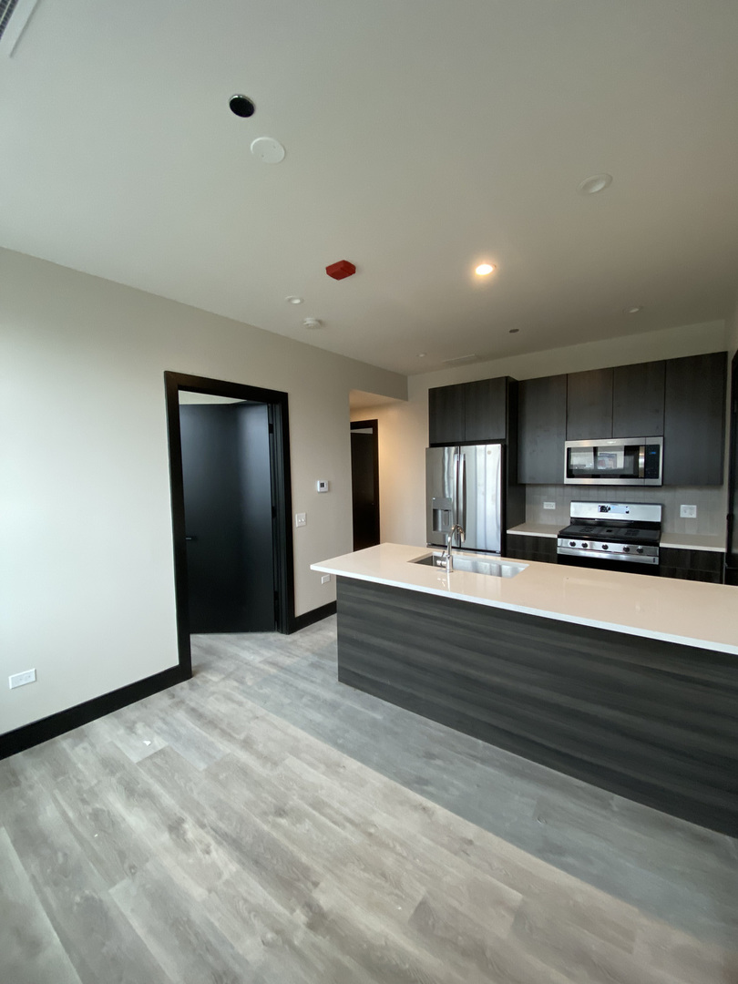 1123 West Randolph Street, Unit 301 Chicago, IL 60607 - Photo 6 of 8
