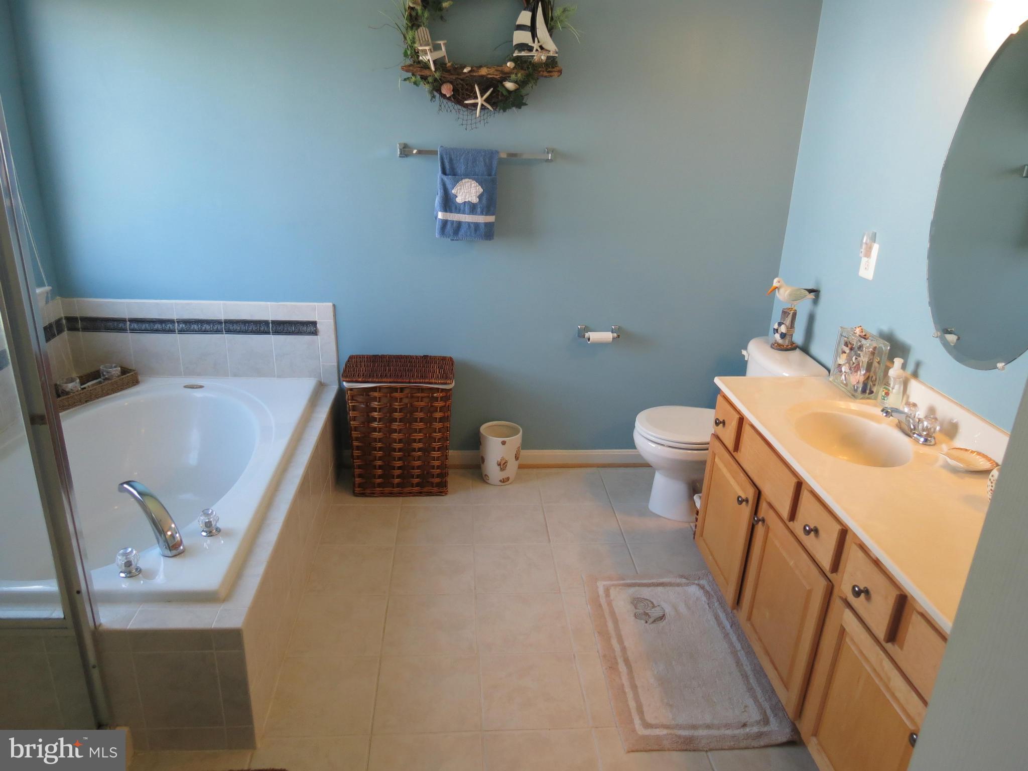 841 Autumn Ridge Road Culpeper, VA 22701 - Photo 9 of 15 Bath (Master)