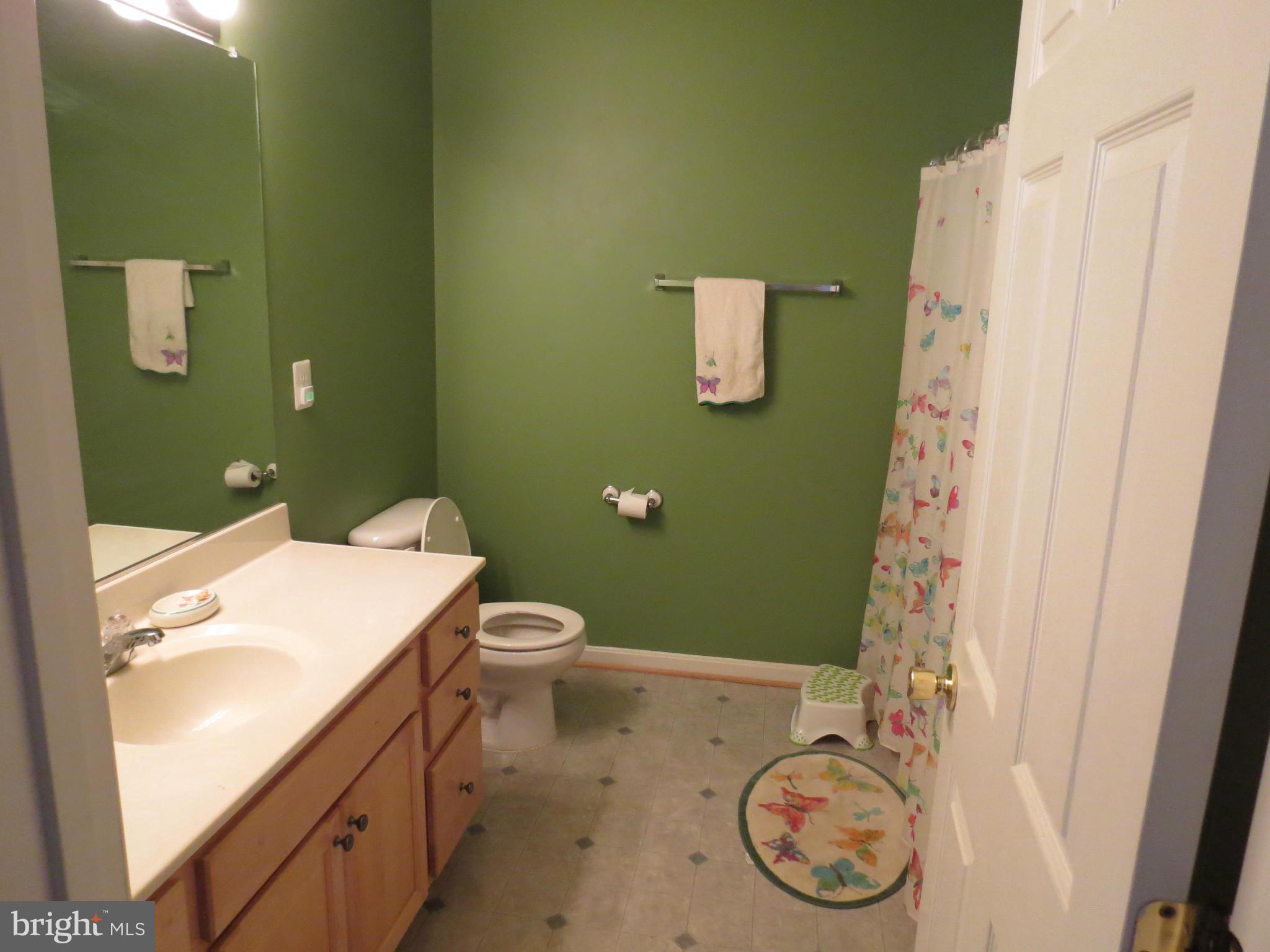 841 Autumn Ridge Road Culpeper, VA 22701 - Photo 10 of 15 Bath