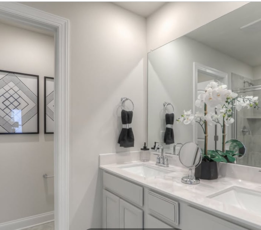 1906 Cascade Court Lebanon, TN 37087 - Photo 10 of 18 a bathroom with a sink and a mirror