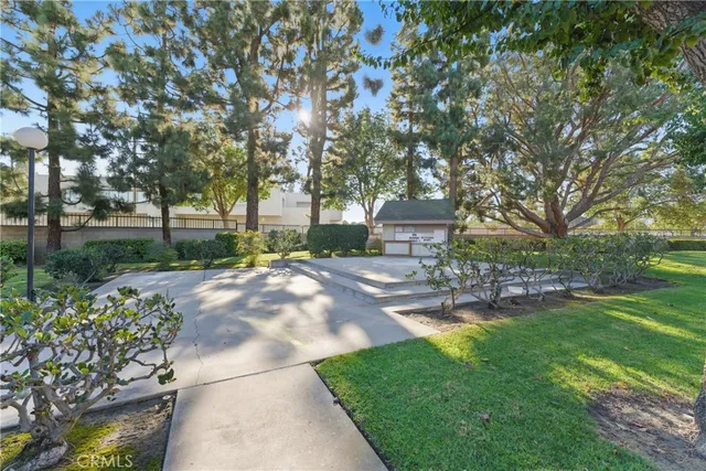 a view of a yard with plants and trees