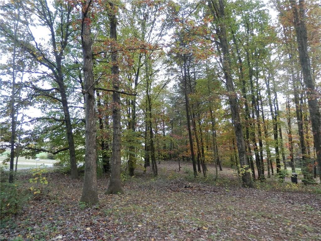 7117 North River Road Oak Ridge, NC 27310 - Photo 8 of 23