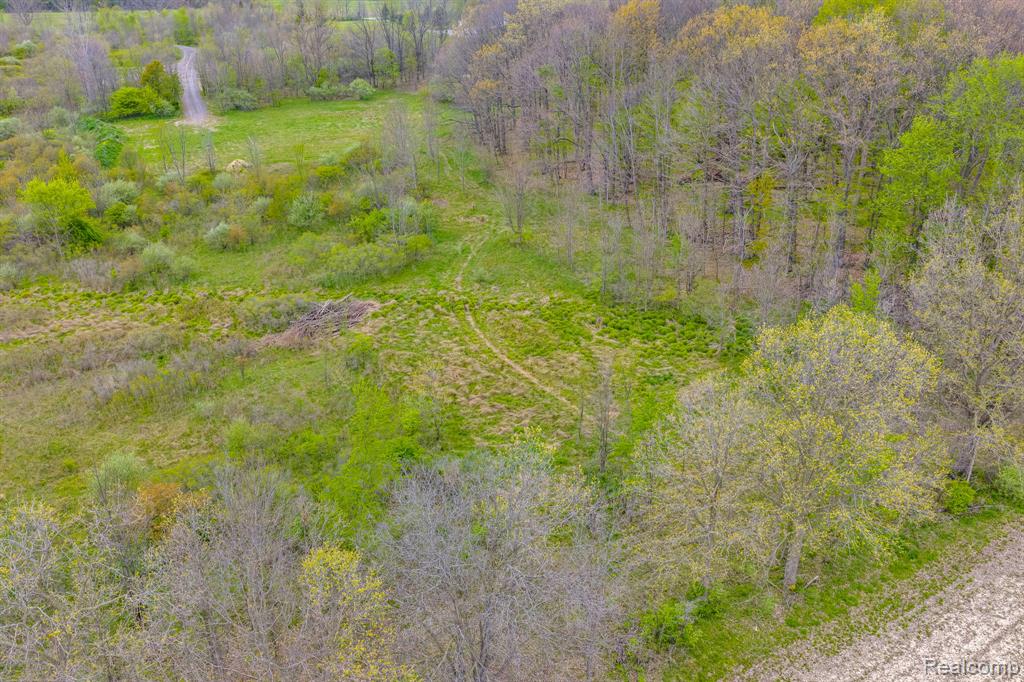 0 Martin Road Capac, MI 48014 - Photo 19 of 20