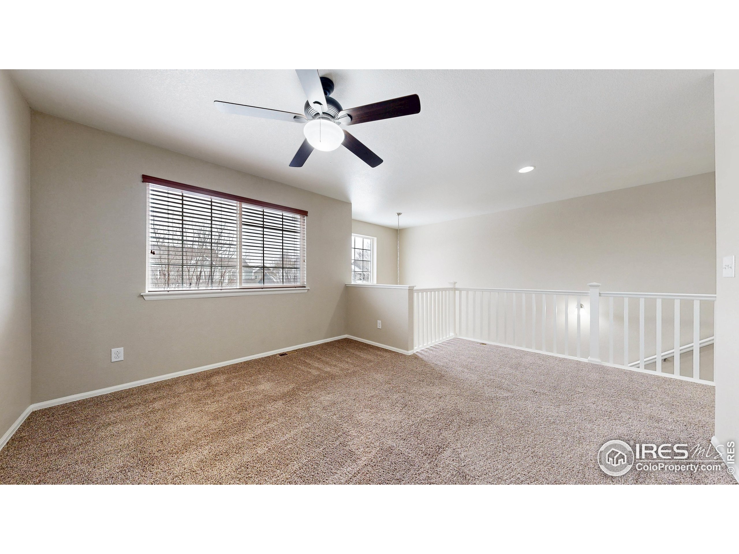 5543 Calgary Street Timnath, CO 80547 - Photo 29 of 38 a kitchen with white cabinets and window