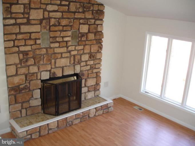175 Southdown Road Edgewater, MD 21037 - Photo 28 of 30 Fireplace