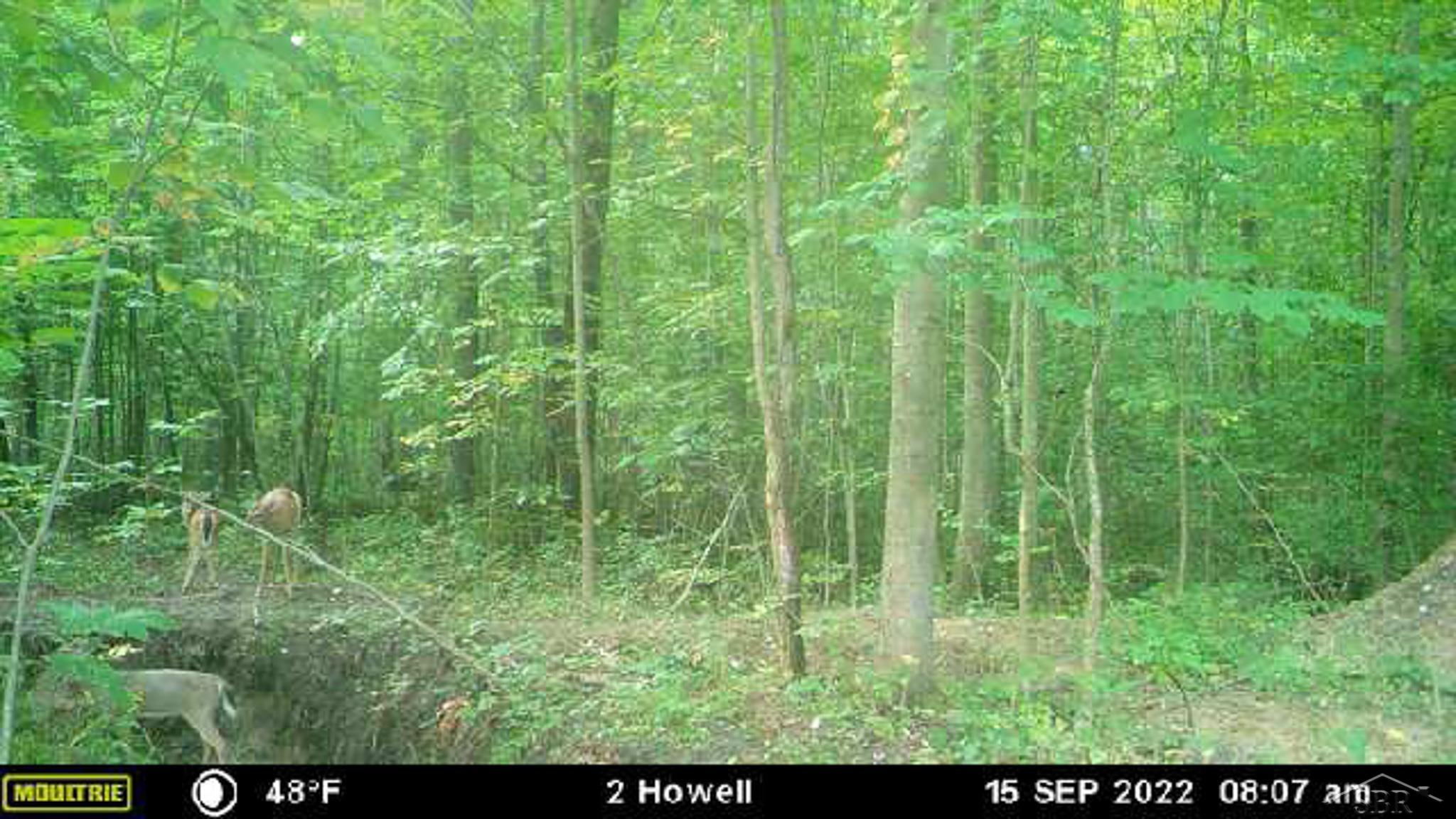 V/l East Bevens Road Caro, MI 48723 - Photo 40 of 41