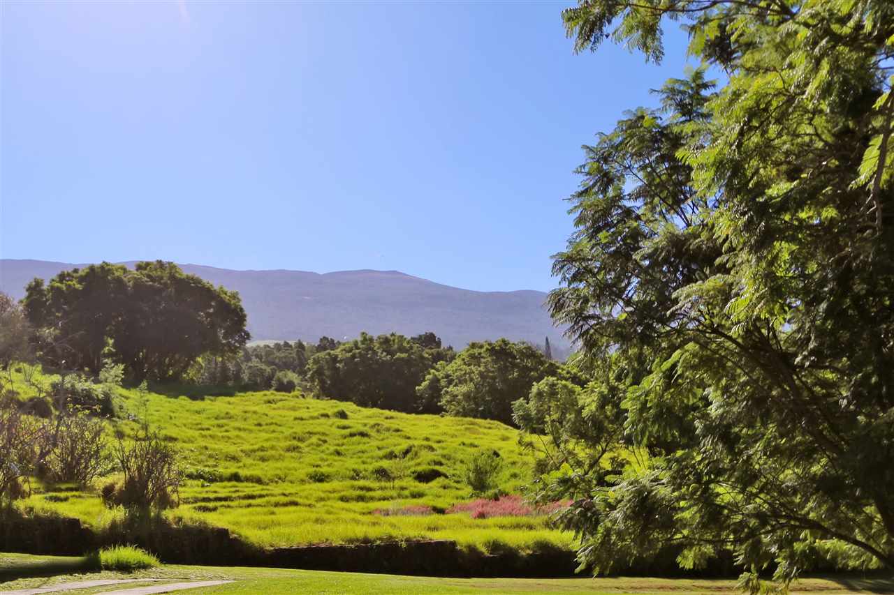 5231 Lower Kula Road Kula, HI 96790 - Photo 1 of 29 a view of a lake with a mountain in the background