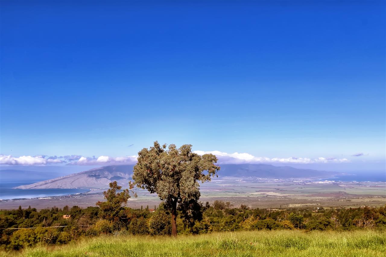 5231 Lower Kula Road Kula, HI 96790 - Photo 27 of 29 a view of a city