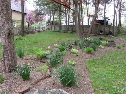 a view of a garden with large trees