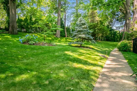 a view of a yard with plants and large trees