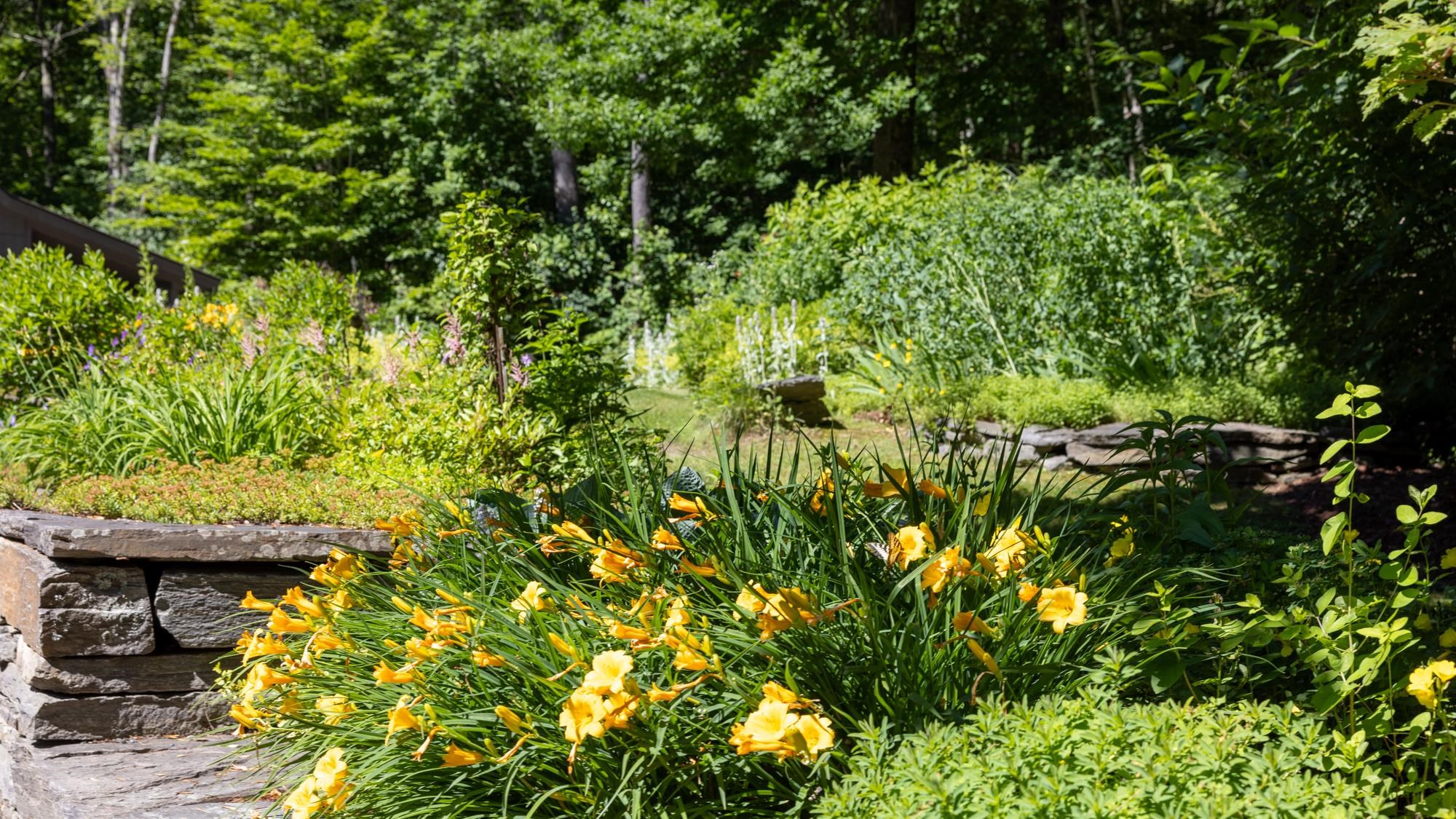 739 Westerdale Road Woodstock, VT 05091 - Photo 6 of 40