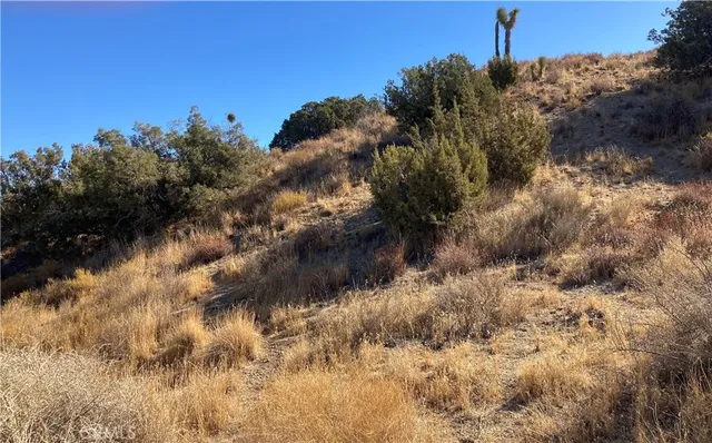 $95,000 | 0 96th Street East, Riverside, OR 97917