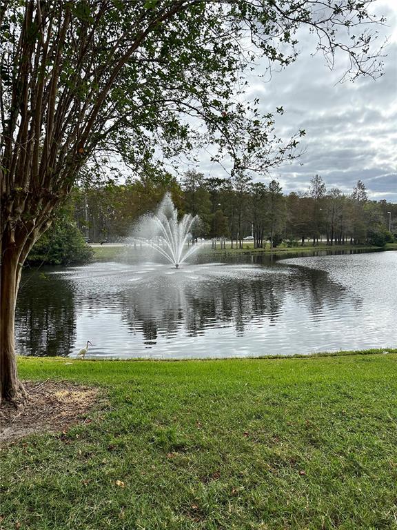 13584 Turtle Marsh Loop, Unit 132 Orlando, FL 32837 - Photo 11 of 21 a view of a lake with a big yard